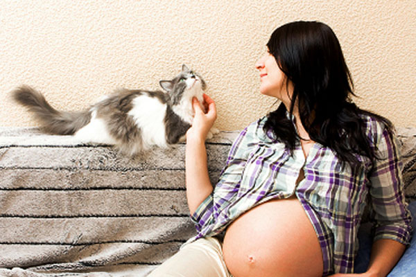 γάτα και έγκυος